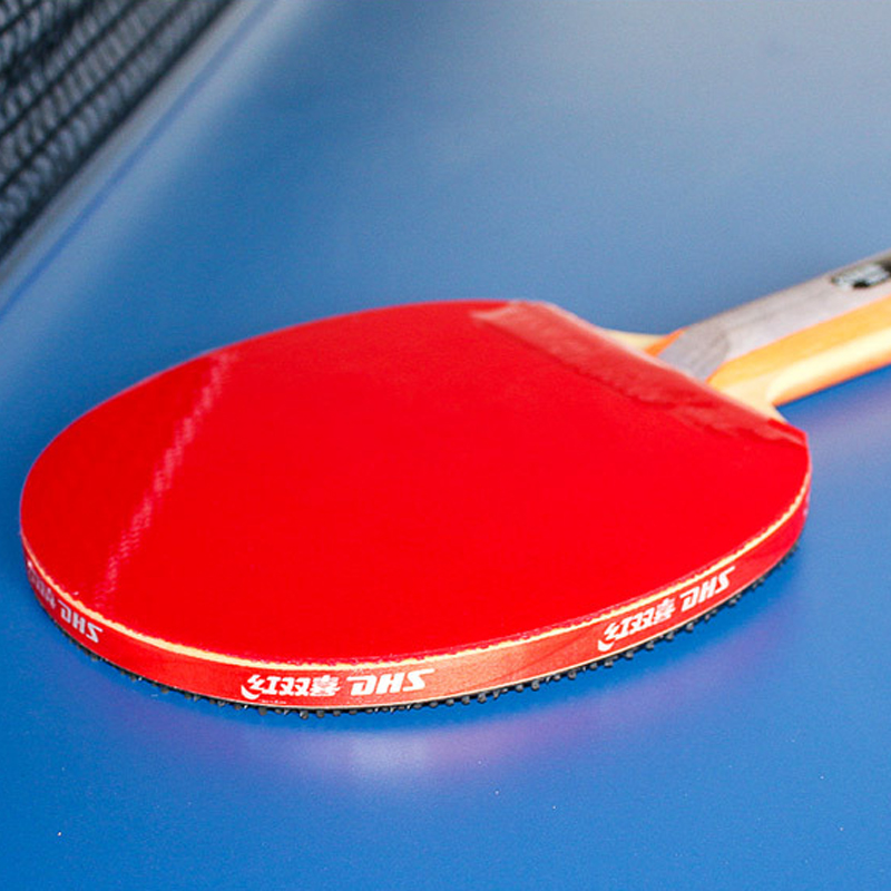 DHS Self-adhesive Table Tennis - огляд і ціна Table Tennis Barrier