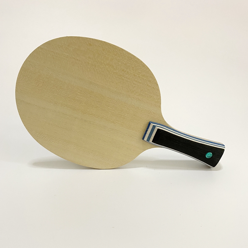 Lemuria VIS Carbon Fiber Table - огляд і ціна Table Tennis Review