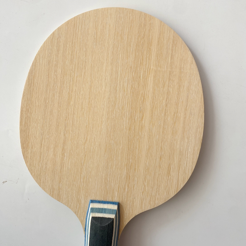 Lemuria VIS Carbon Fiber Table - огляд і ціна Table Tennis Review