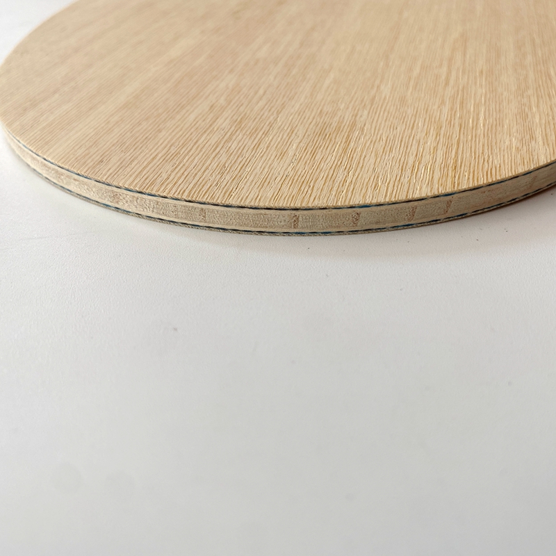 Lemuria VIS Carbon Fiber Table - огляд і ціна Table Tennis Review